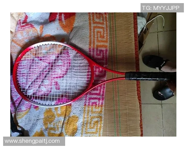 吴丽独家分享网球心得与技巧助你提升球技的完美指南