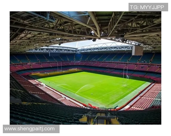 当裁判的足球明星如何在绿茵场上平衡公正与激情的双重角色